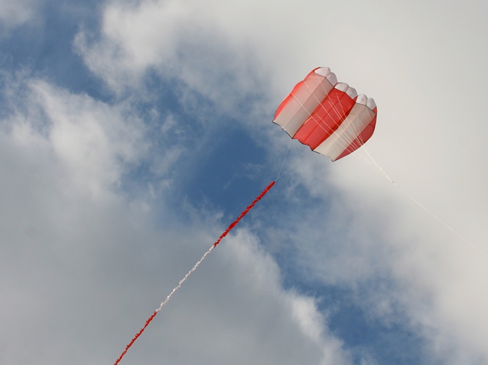 Rodborough Common, 31 March 2013 - 13Rod31img211.jpg
