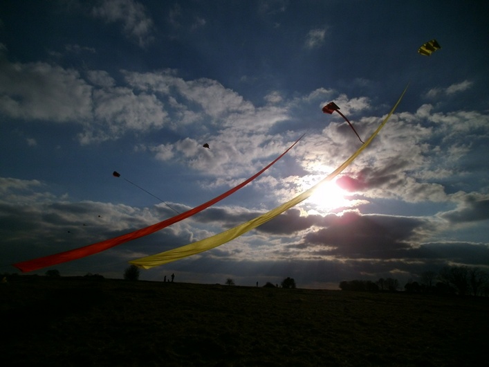 Rodborough Common, 31 March 2013 - 13Rod31img227.jpg