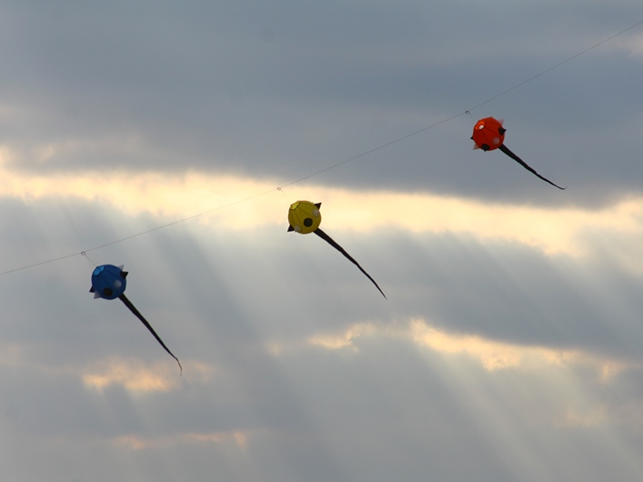 Rodborough Common, 31 March 2013 - 13Rod31img237.jpg