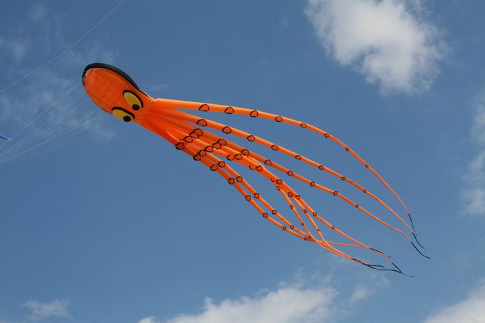 Suffolk Kite Festival - 10rou15img041.jpg