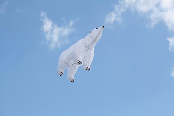 Suffolk Kite Festival - 10rou15img052.jpg