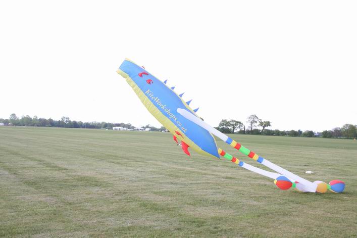 Suffolk Kite Festival - 10rou16img077.jpg