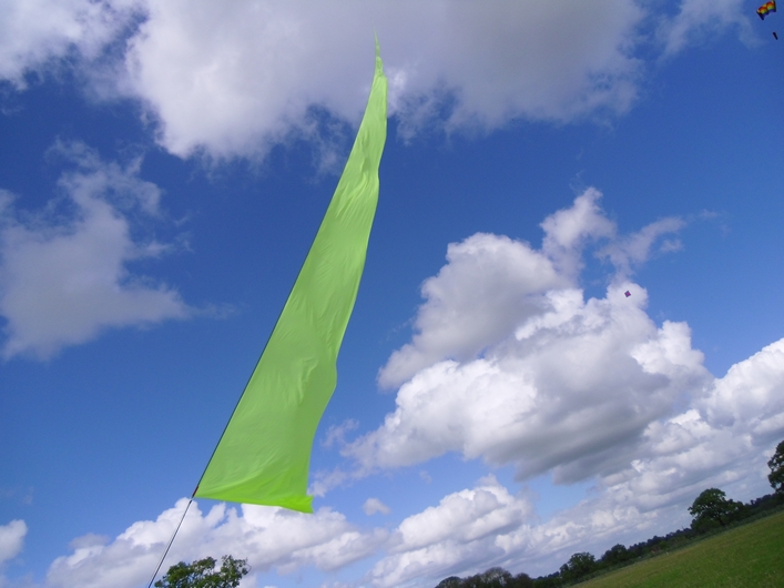 Swindon Kite Festival - 11swi08img017.jpg