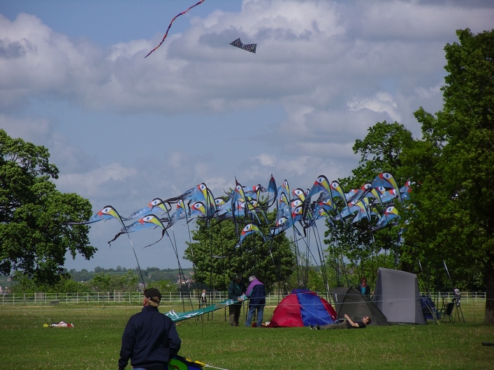 Swindon Kite Festival - 11swi08img052.jpg