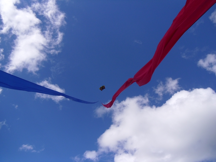 Swindon Kite Festival - 11swi08img059.jpg