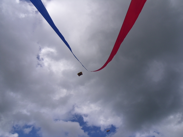 Swindon Kite Festival - 11swi08img066.jpg