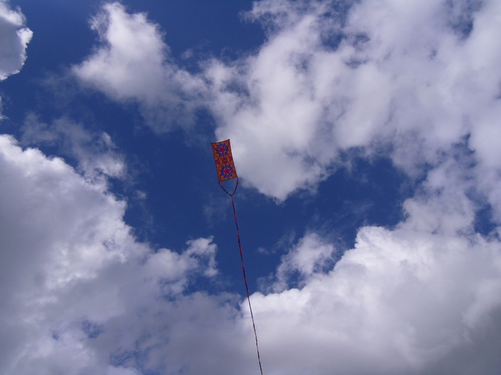 Swindon Kite Festival - 11swi08img079.jpg