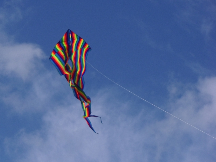 Swindon Kite Festival - 11swi08img094.jpg