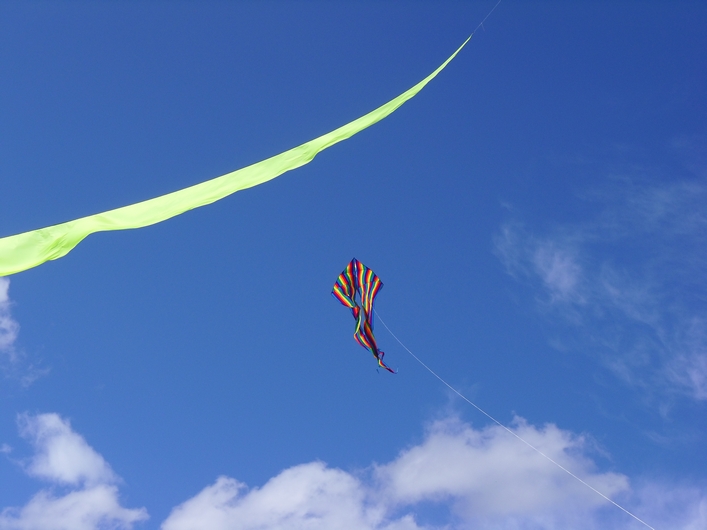 Swindon Kite Festival - 11swi08img095.jpg